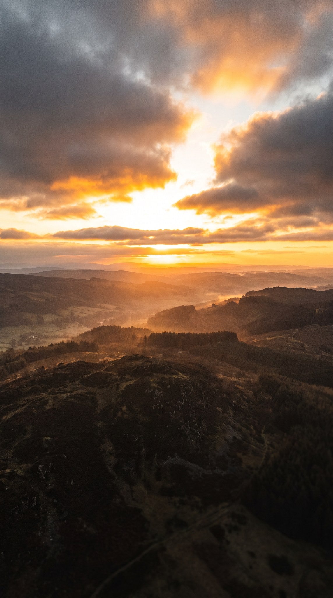 Golden Valley Sunrise Landscape Art