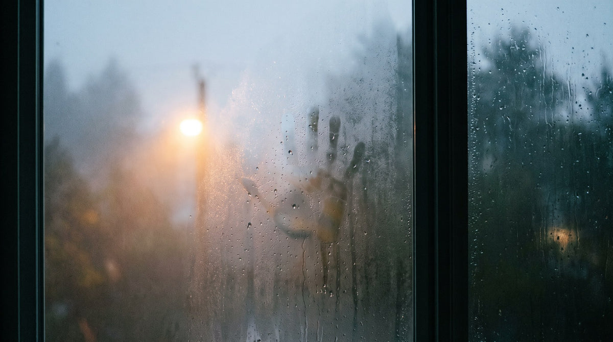 Rainy Window Steamed Glass Mood Art