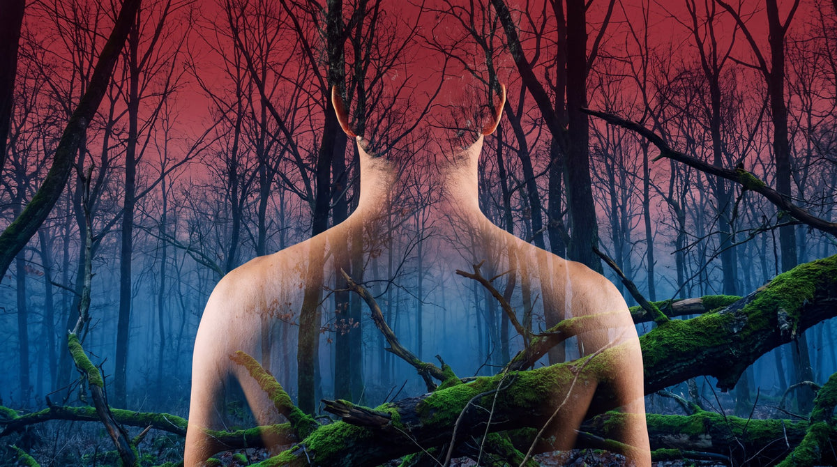 Threshold Visions Surreal Forest Silhouette Art