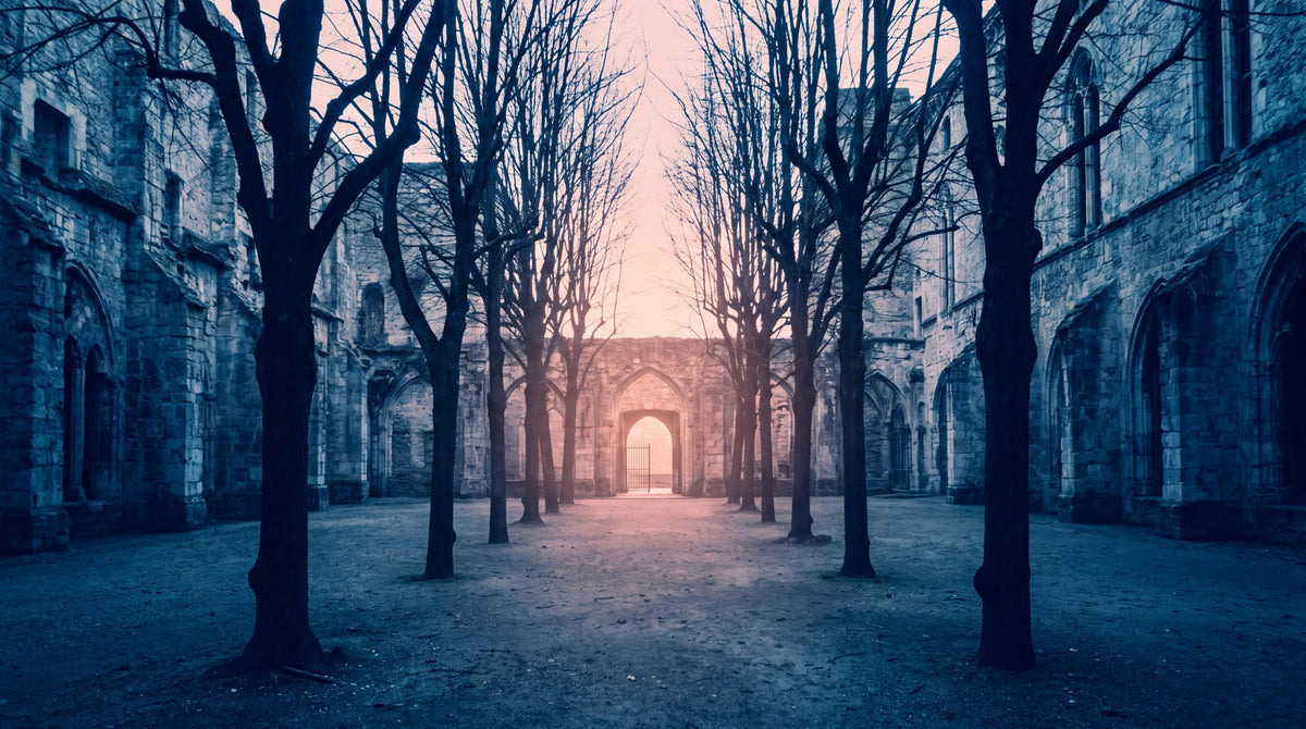 Gothic Abbey Twilight Portal Wall Art