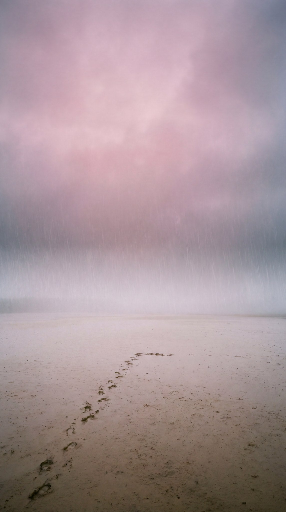 Shoreline Rain Footsteps Art Print