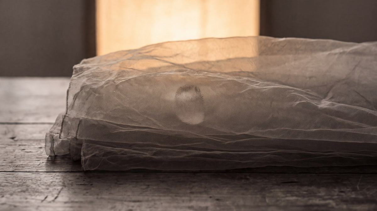 Translucent Veil Minimalist Still Life Art