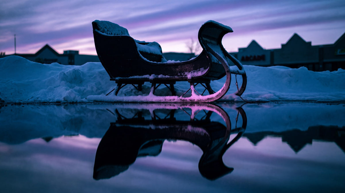 Twilight Sleigh Mirror Canvas Art