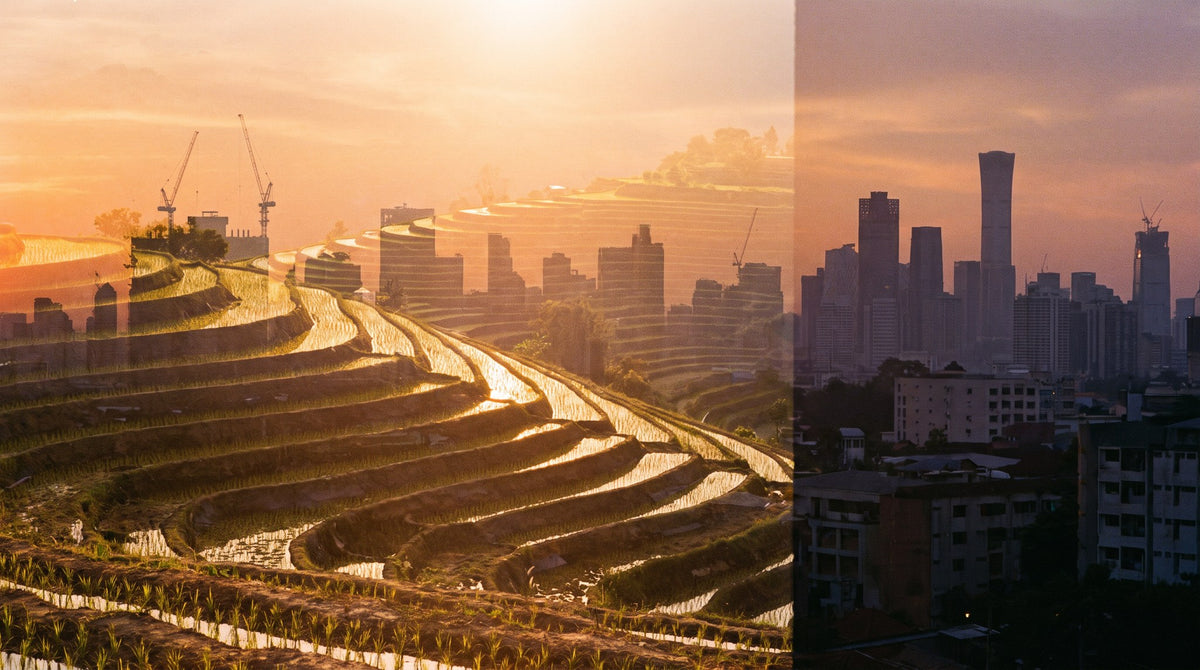 Golden Hour Horizons Art Print
