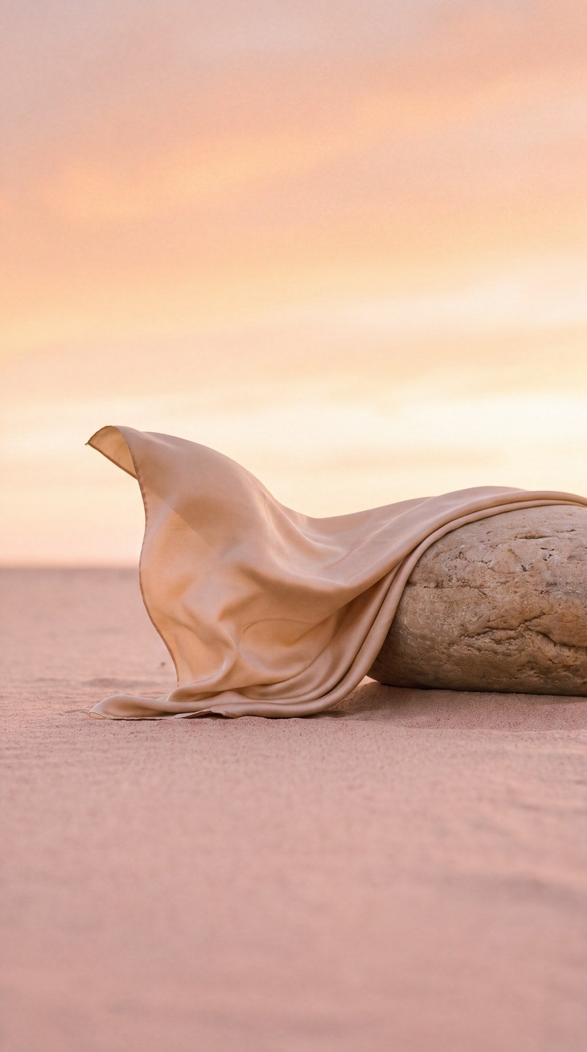 Silk and Stone Desert Horizon Art