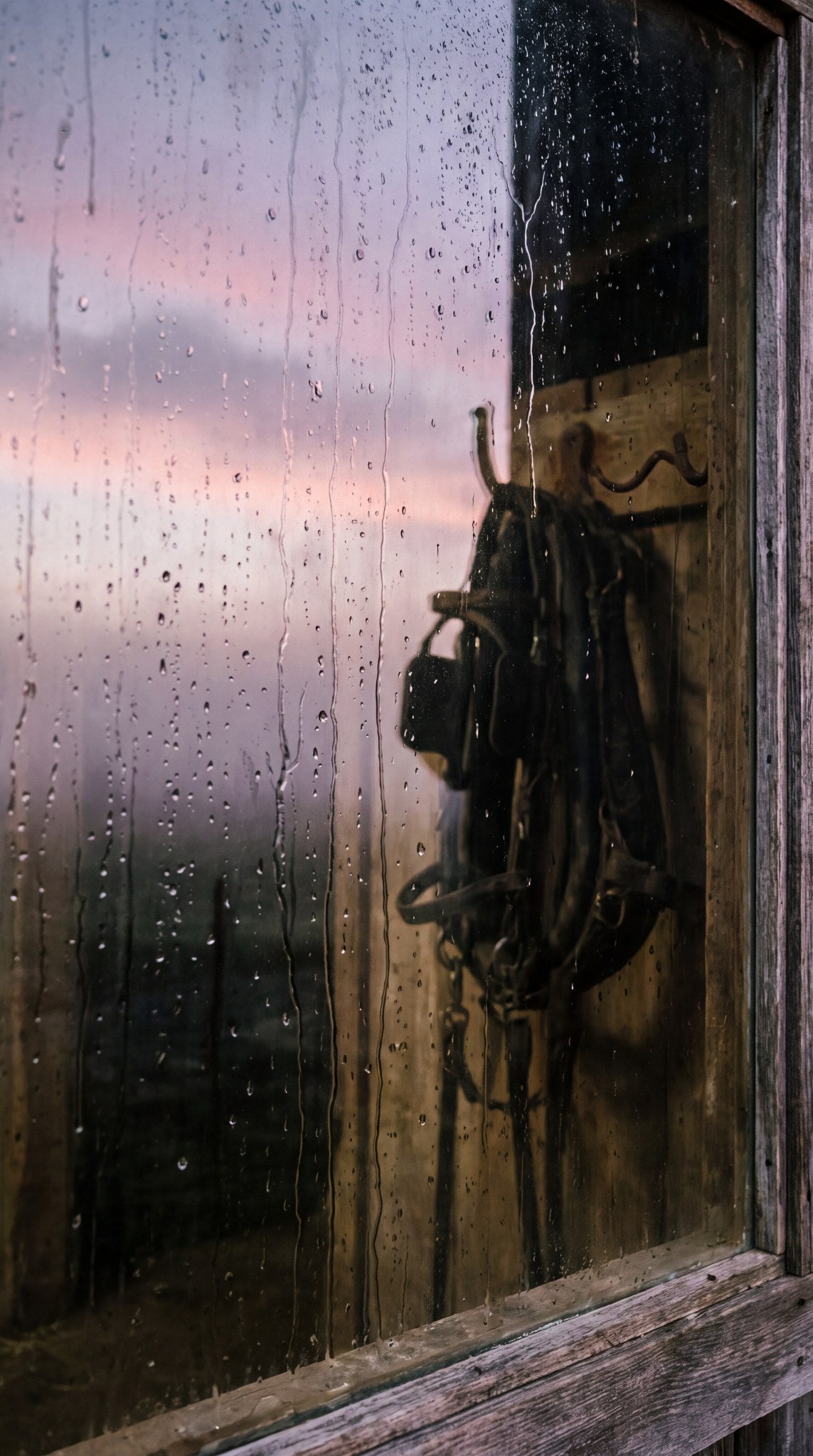 Rainy Window Tack Room Wall Art