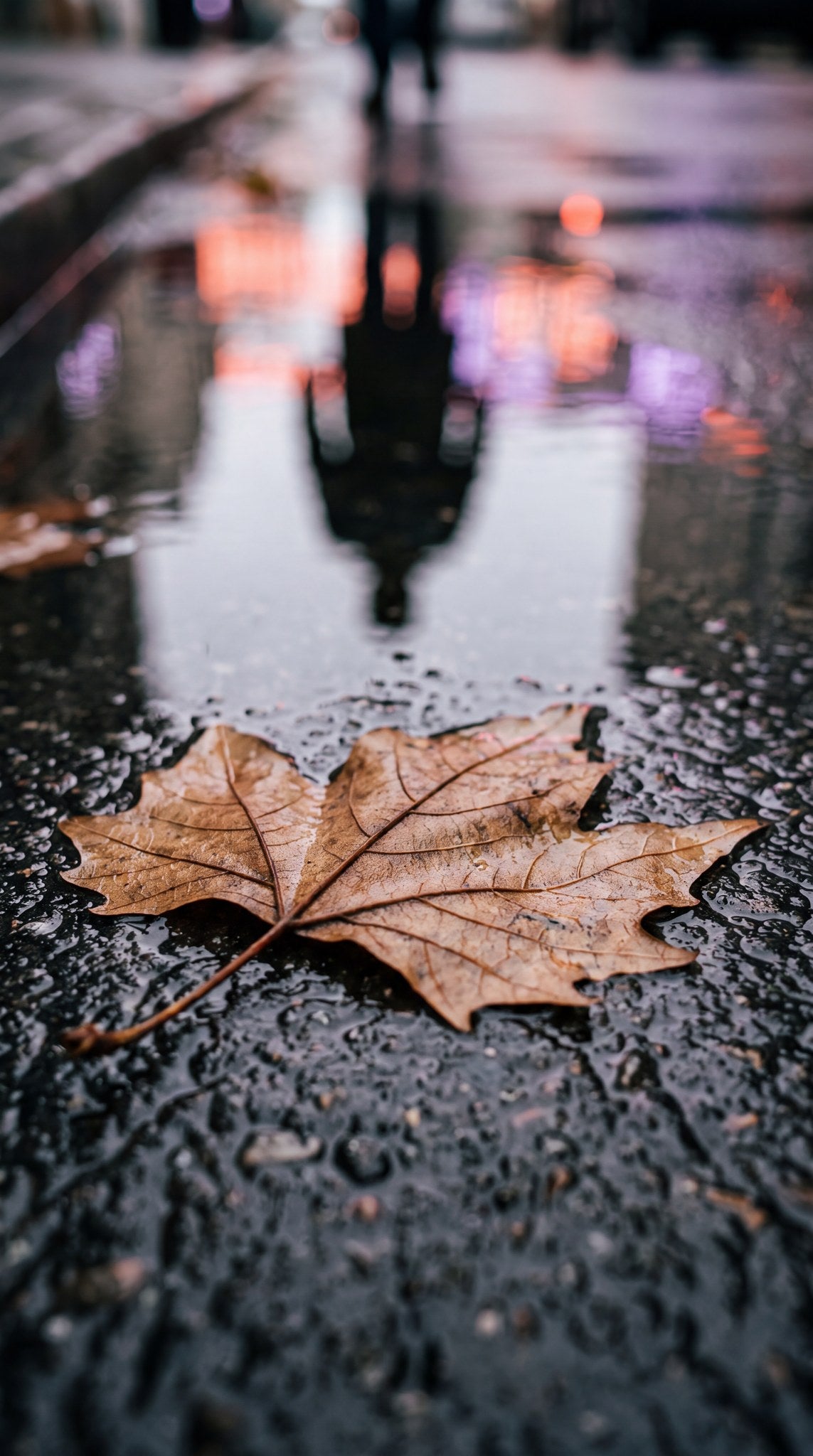 Autumn Reflection Art - Moody Urban Street