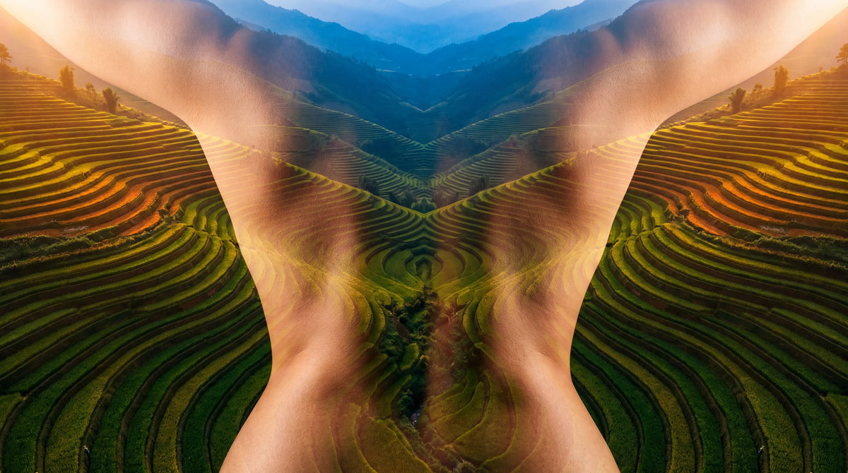 Surreal Bodyscape Terraces Art