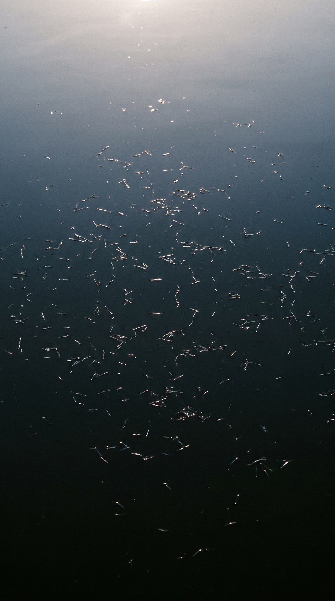 Glinting Deep Water Minimalist Art