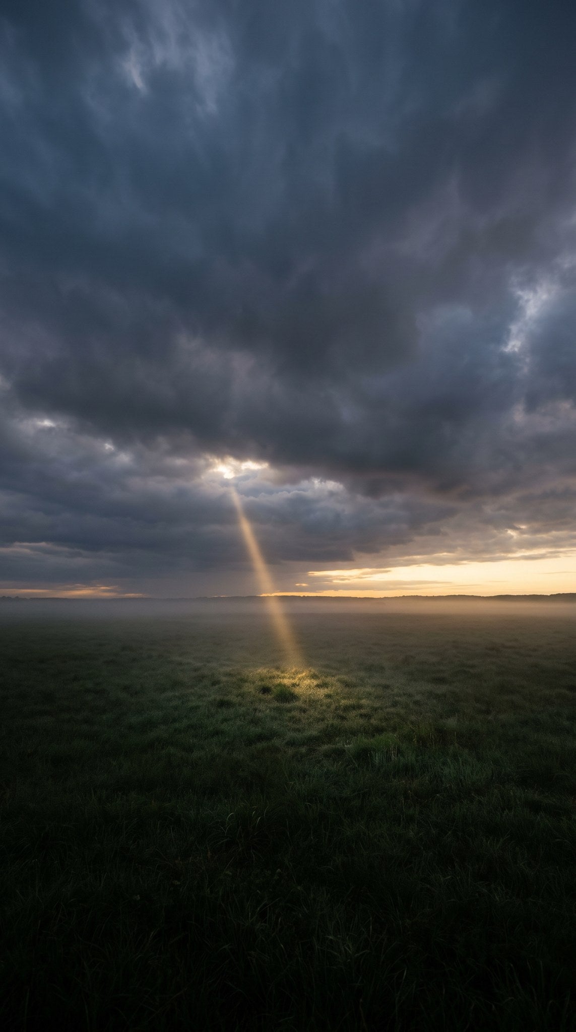 Threshold Visions Ethereal Sunbeam Meadow Art