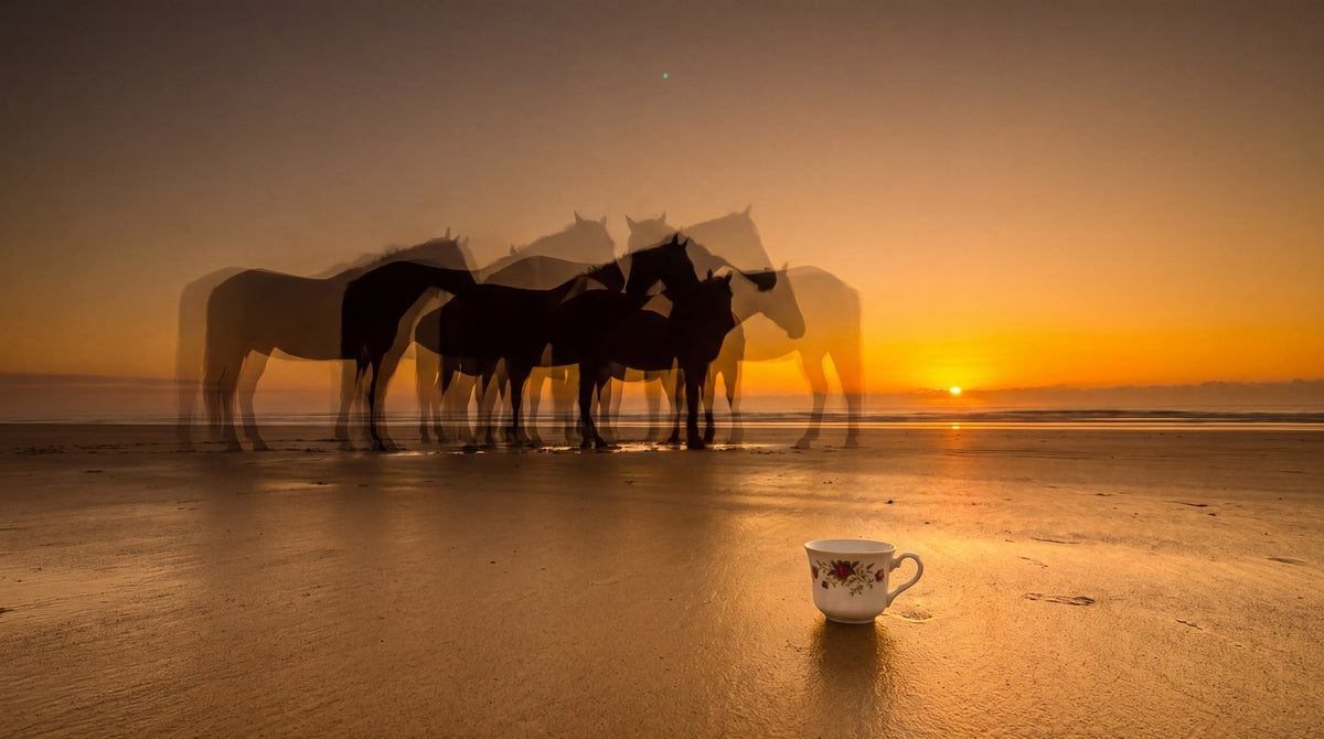 Coastal Dreamscape Sunset Art