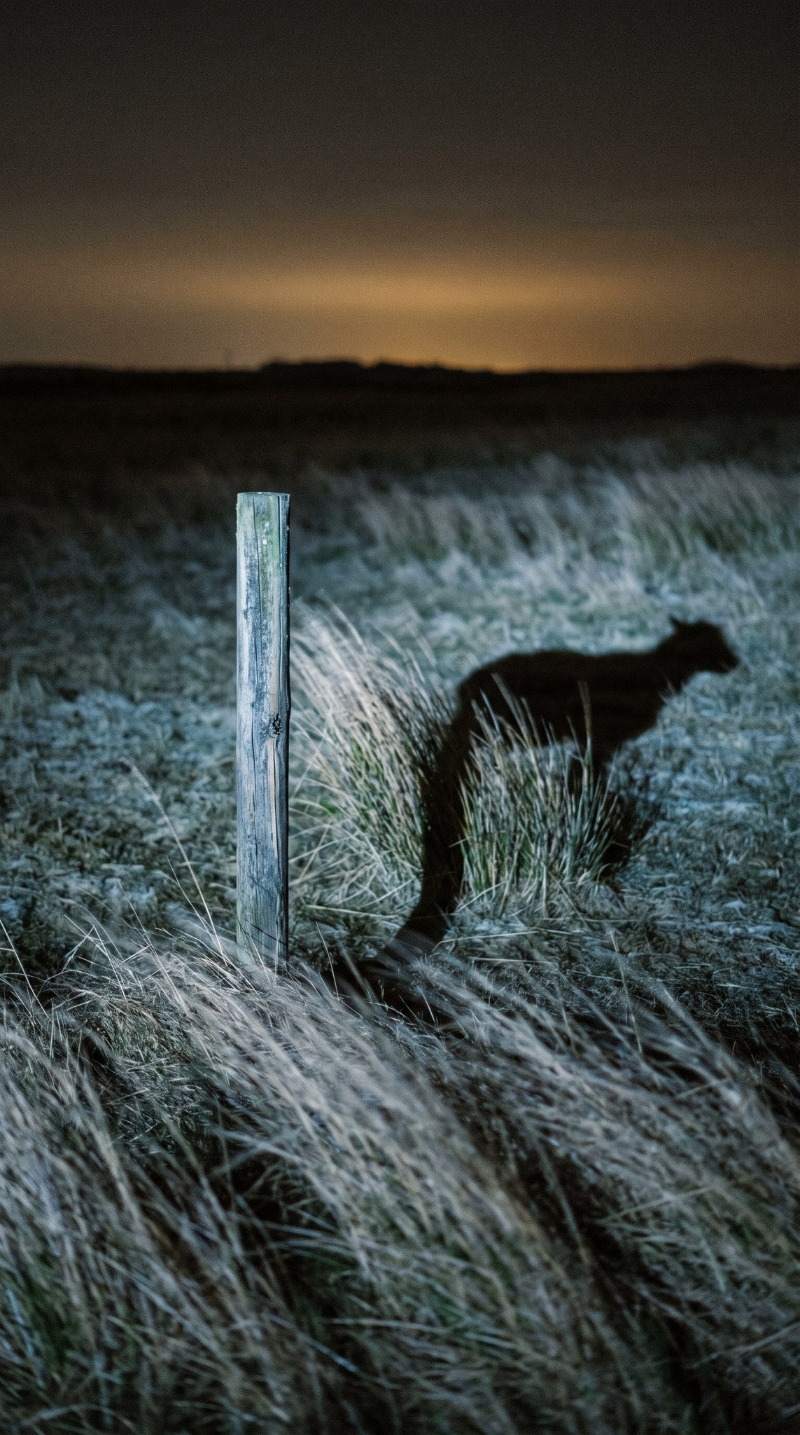 Nocturnal Stalker Liminal Night Landscape