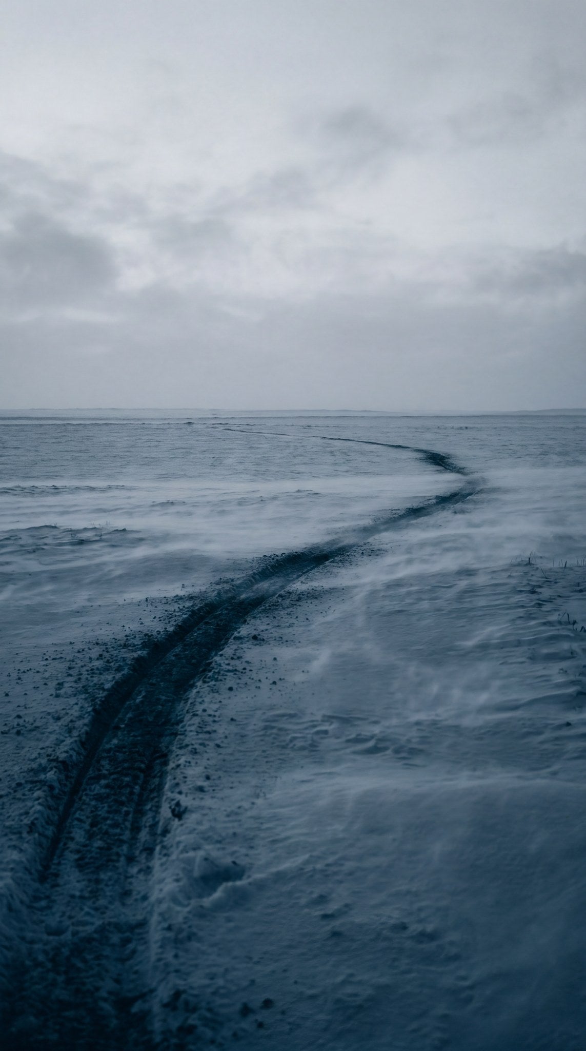 Windswept Tundra Horizon Art Print