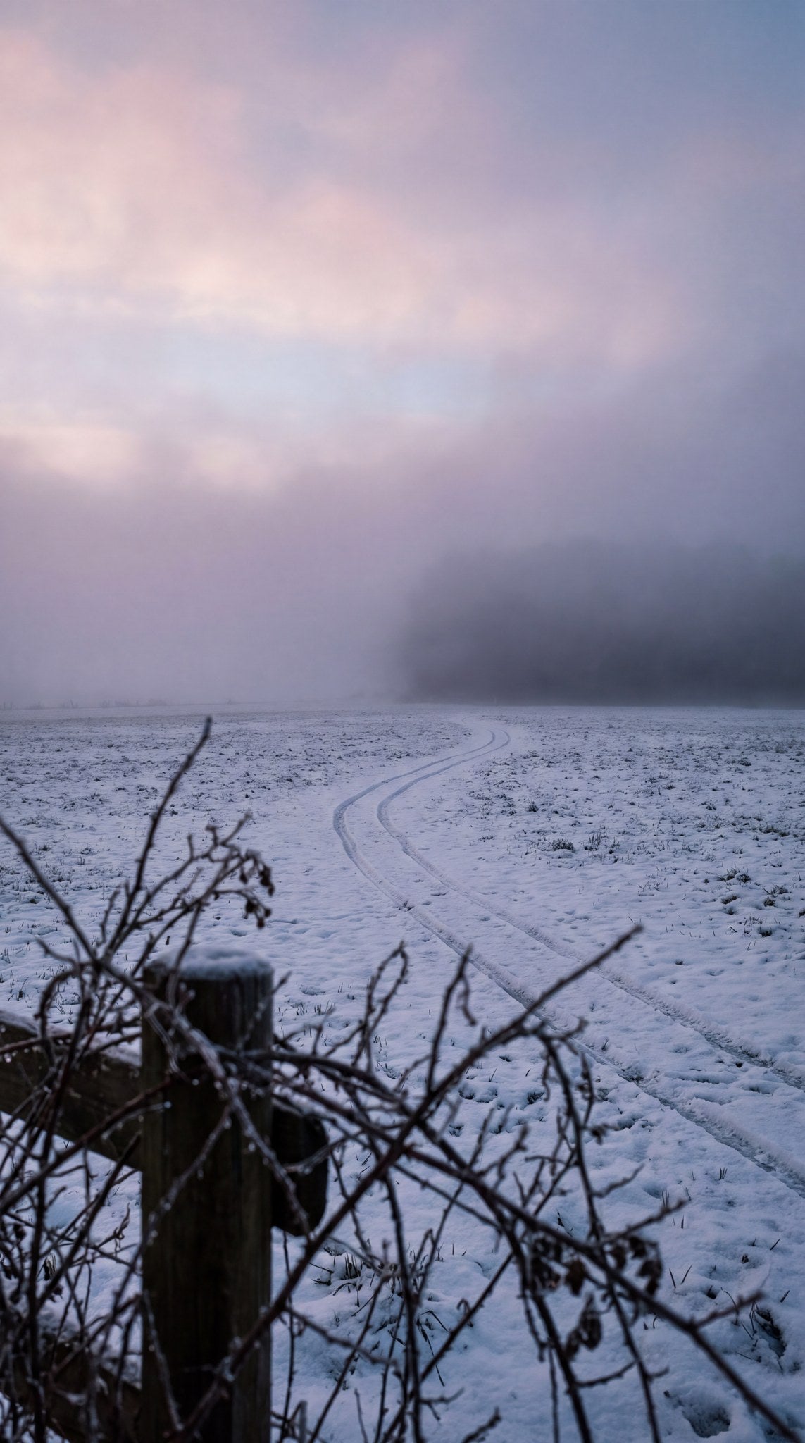 Silent Frost Meadow Landscape