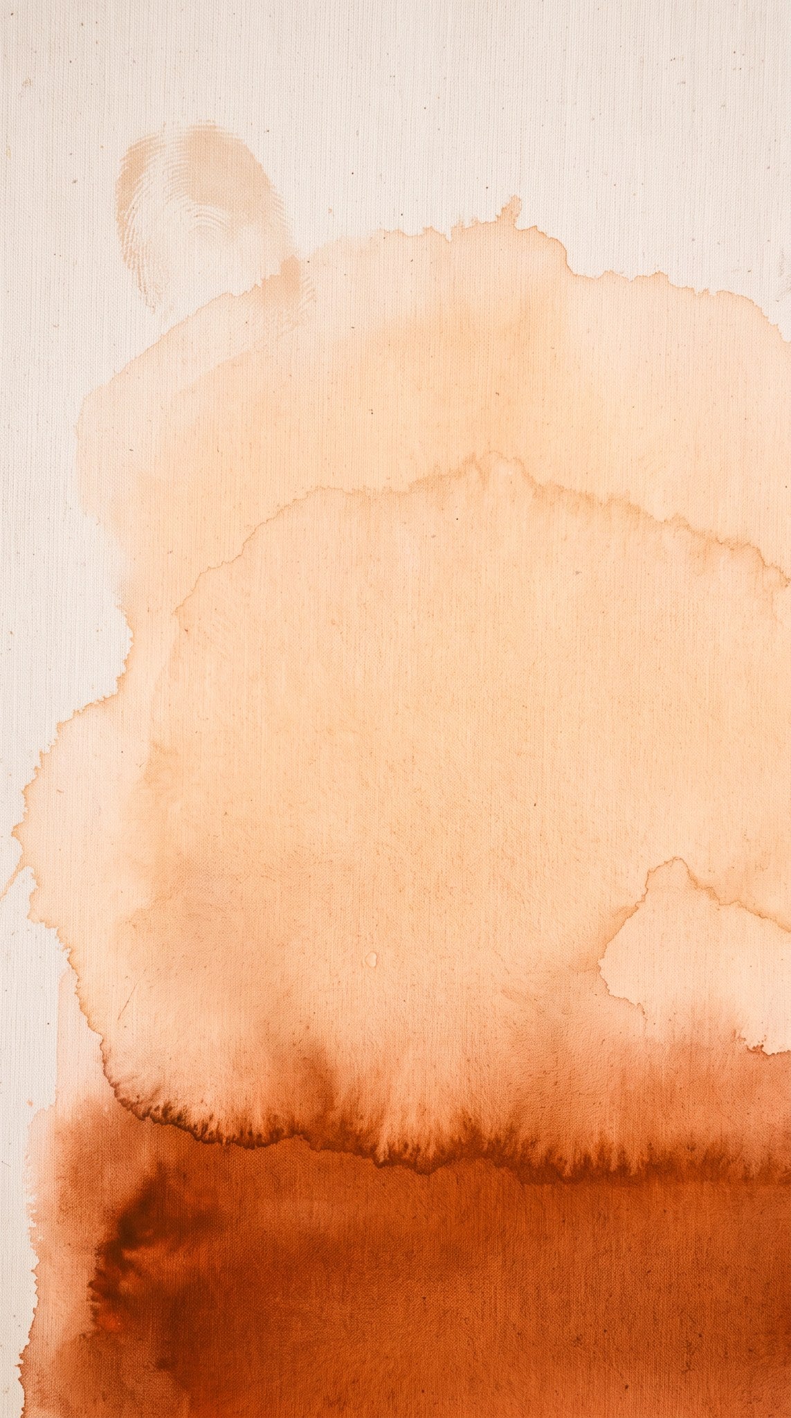 Terracotta Wash Minimalist Earth Tone Canvas Art