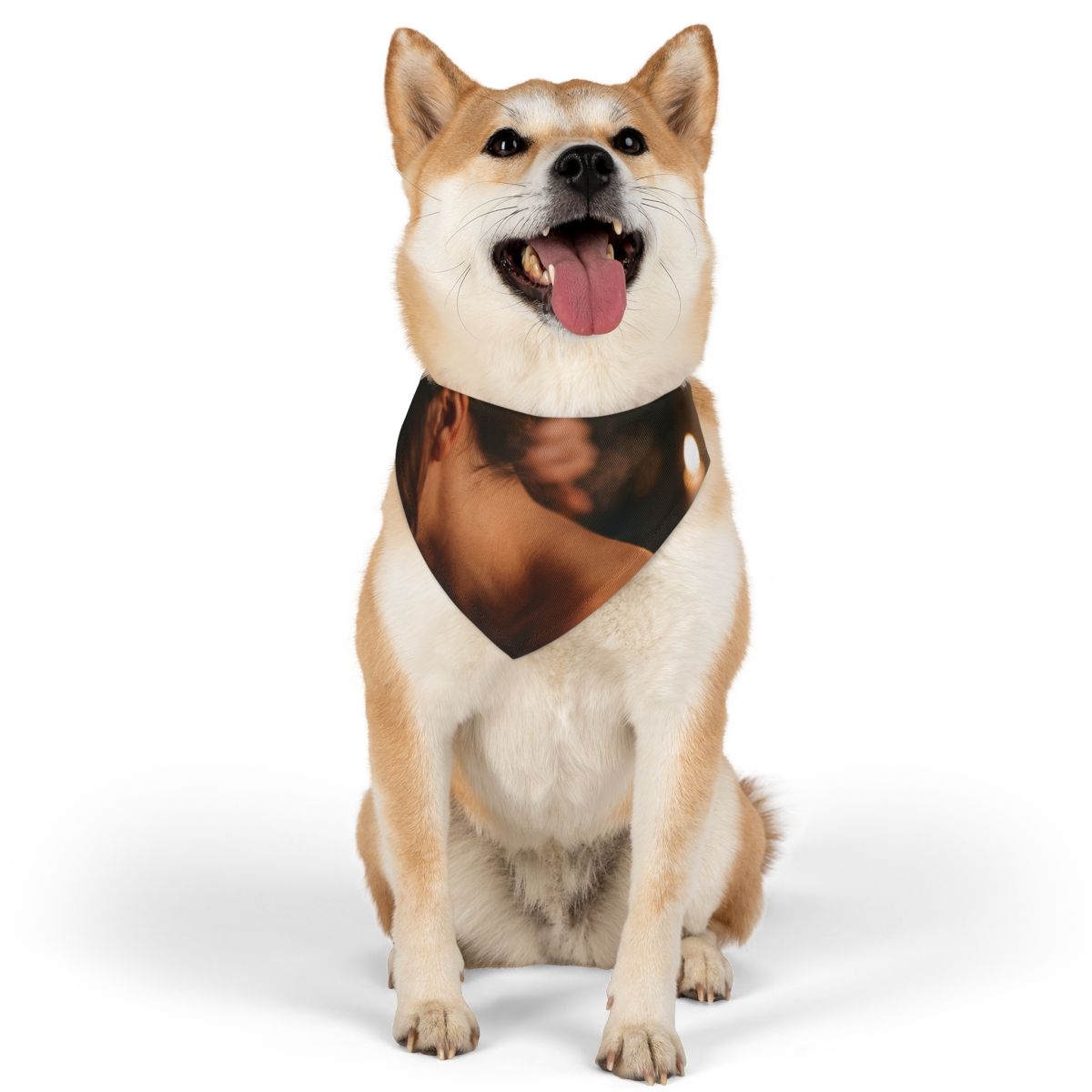 Pet Bandana Collar - Candlelit Solitude Atmospheric Art |...