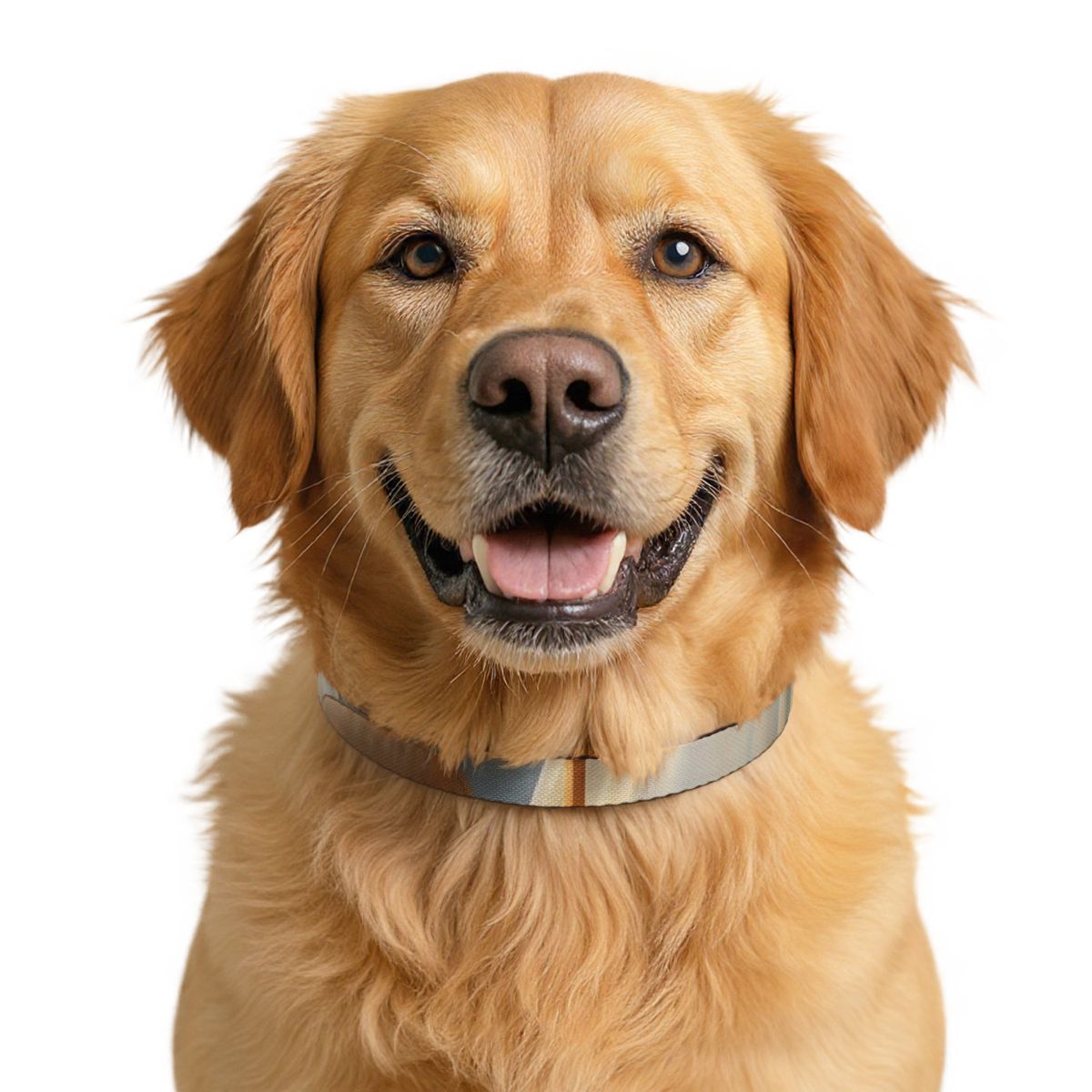 Soft Blue Clip-on Pet Collar - Dog Style