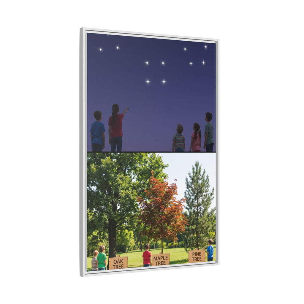 Framed Matte Canvas - Discovery — White / 1.25"