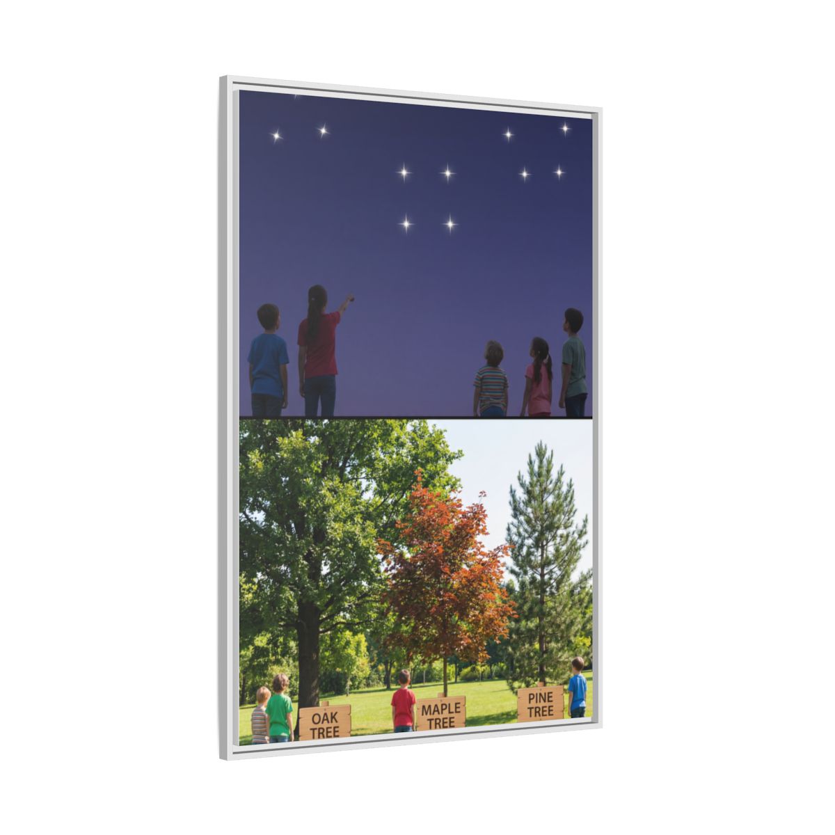 Framed Matte Canvas - Discovery — White / 1.25"