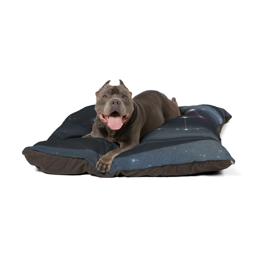 Orion Constellation Pet Bed