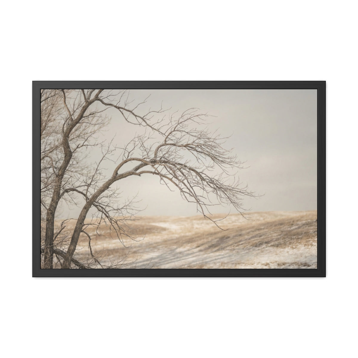 Framed Poster - Minimalist Winter Tree — Landscape