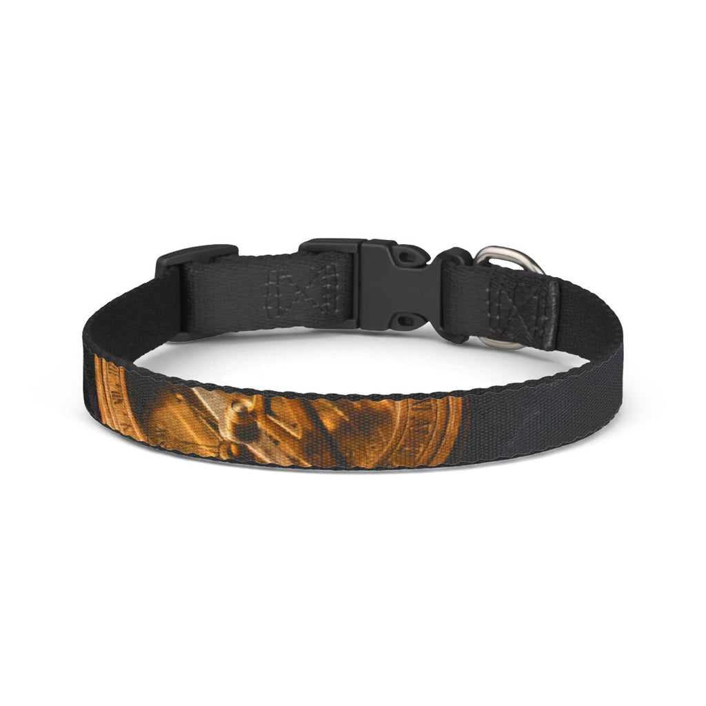 Clip-on Pet Collar with Brass Sundial Art