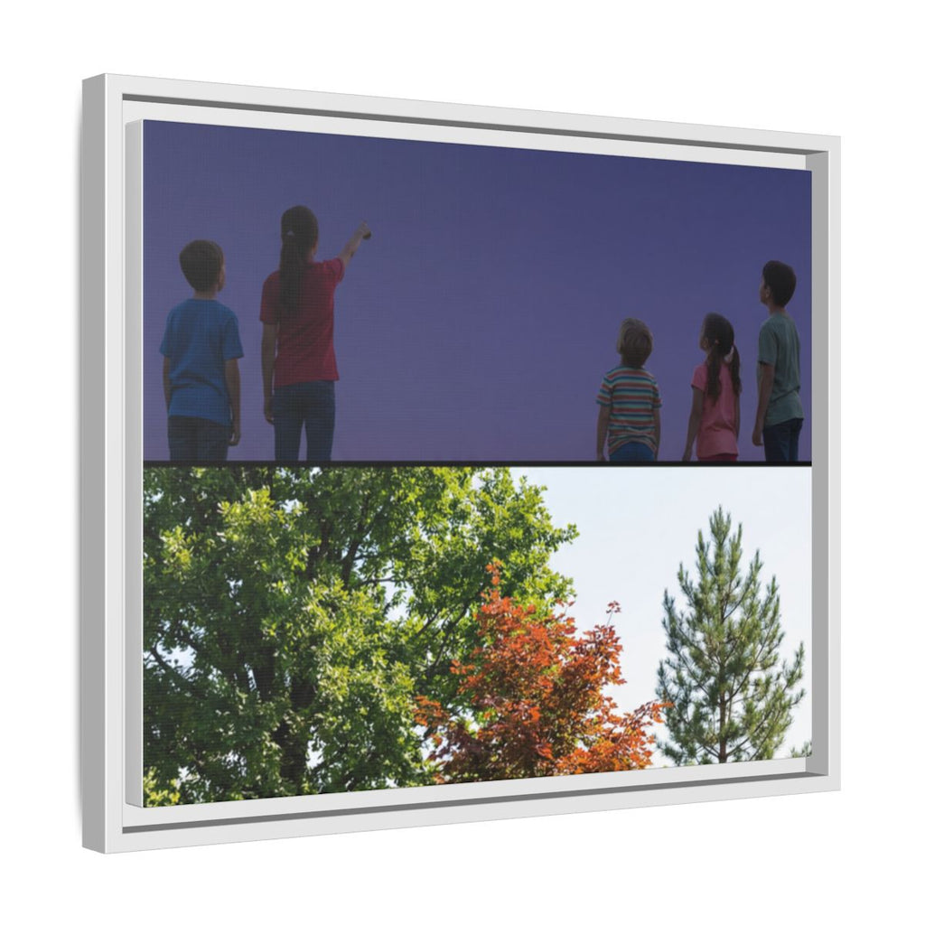 Framed Matte Canvas - Discovery — White / 1.25"