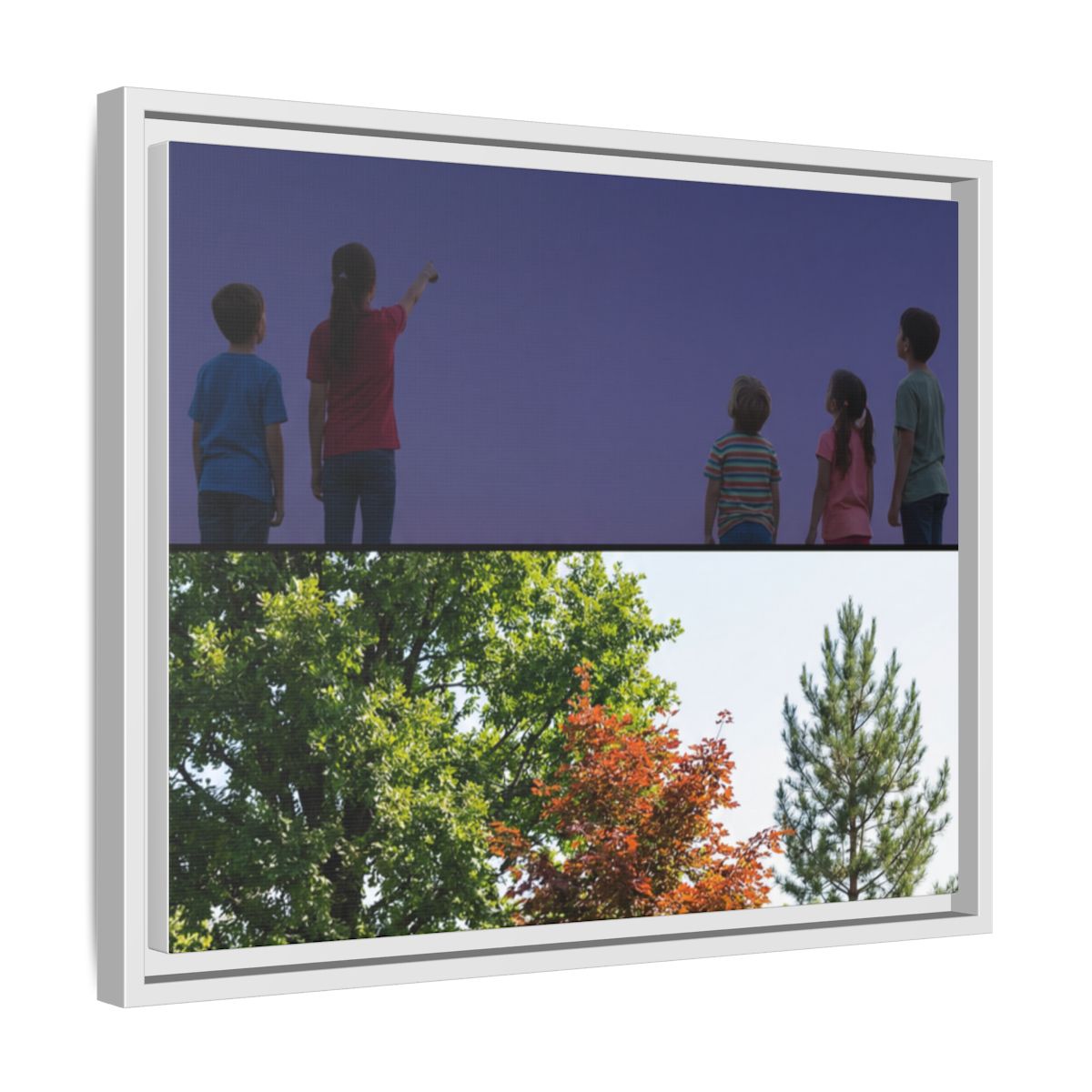 Framed Matte Canvas - Discovery — White / 1.25"