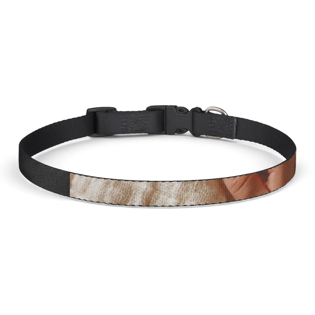 Clip-on Pet Collar - Boho Minimalist