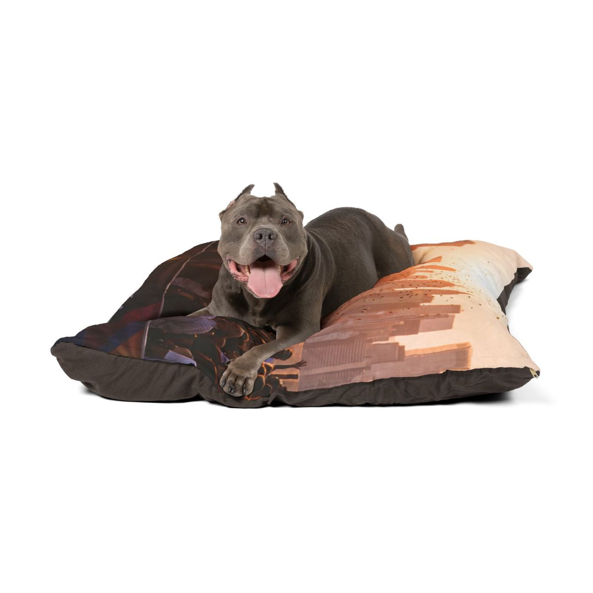 Pet Bed - City Lights Festival | Echovira Gallery