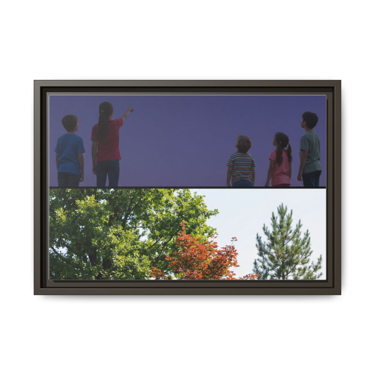 Framed Matte Canvas - Wilderness Gallery
