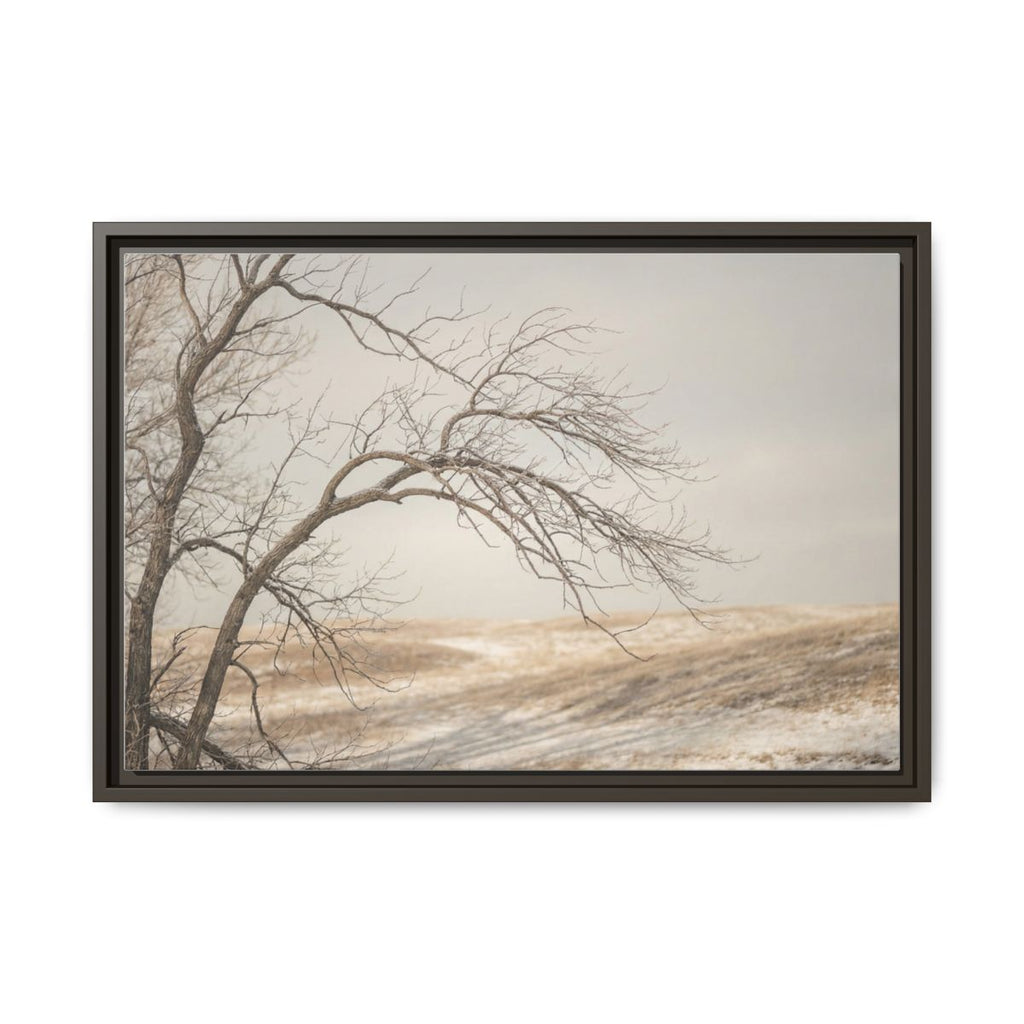 Framed Canvas Art - Minimalist Winter — Espresso / 1.25"