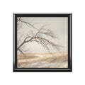 Jewelry Box - Winter Branch Solitude Landscape | Echovira...