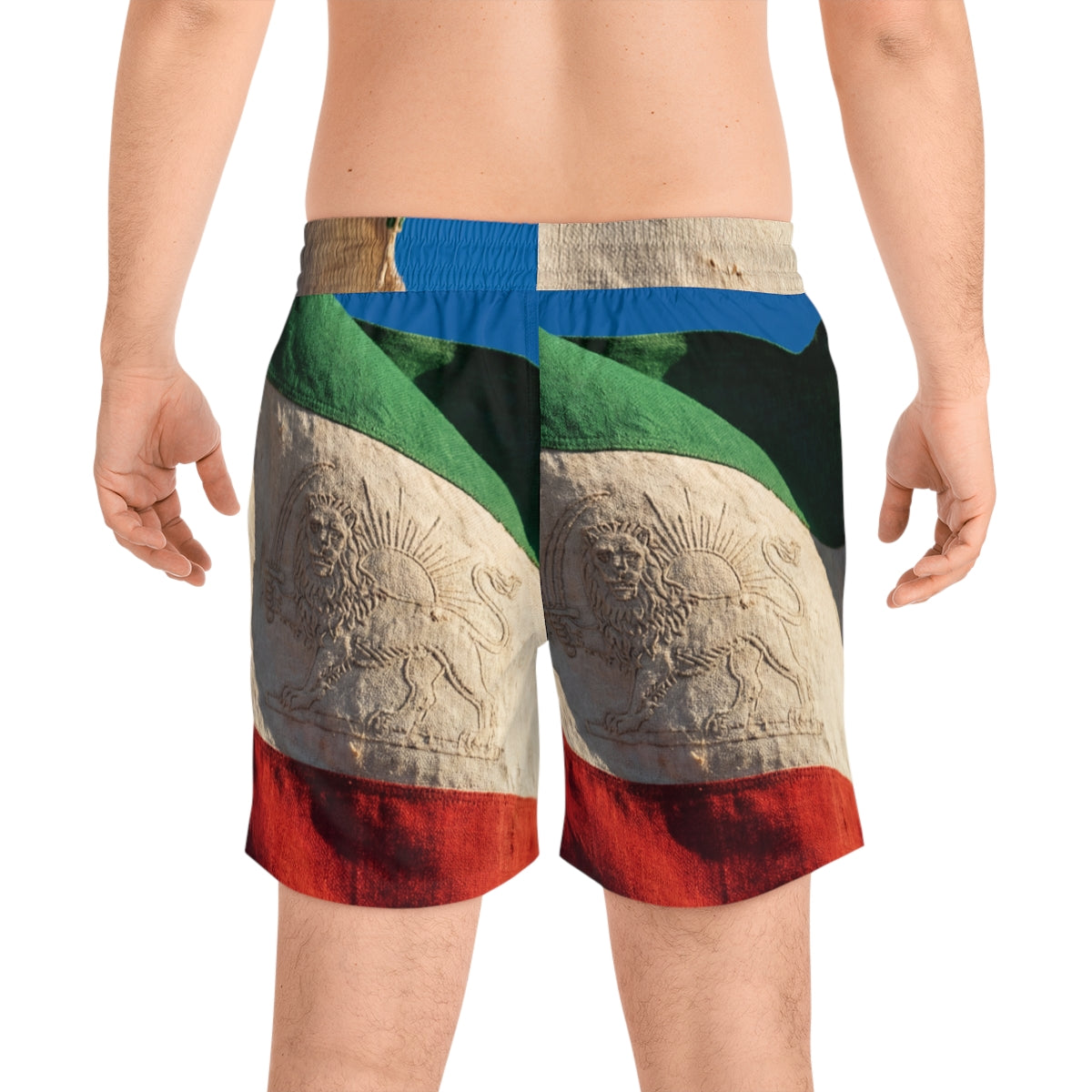 Men's Swim Shorts - Pride