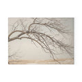 Glass Cutting Board - Winter Branch Solitude Landscape |...
