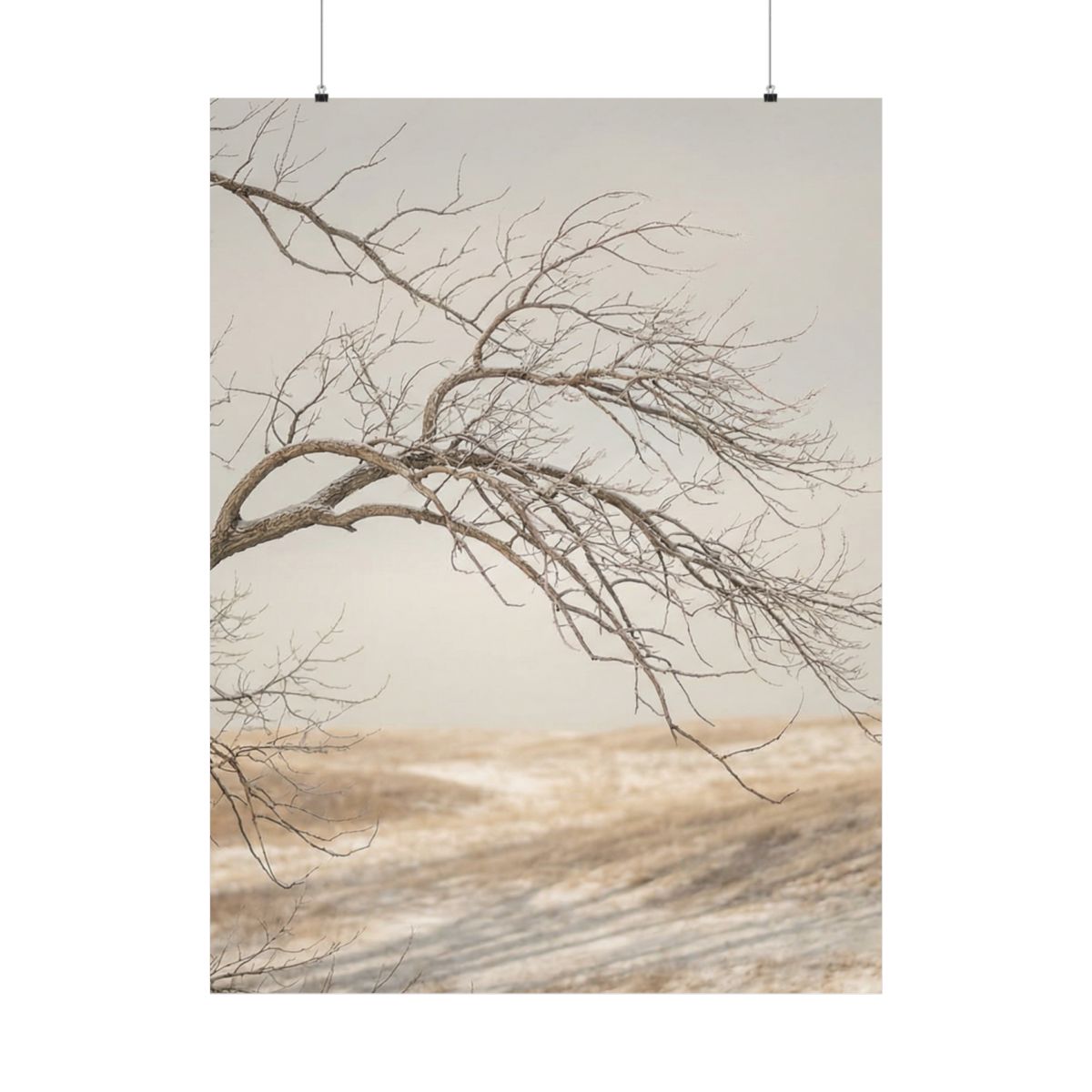 Matte Vertical Posters - Winter Branch Solitude Landscape......
