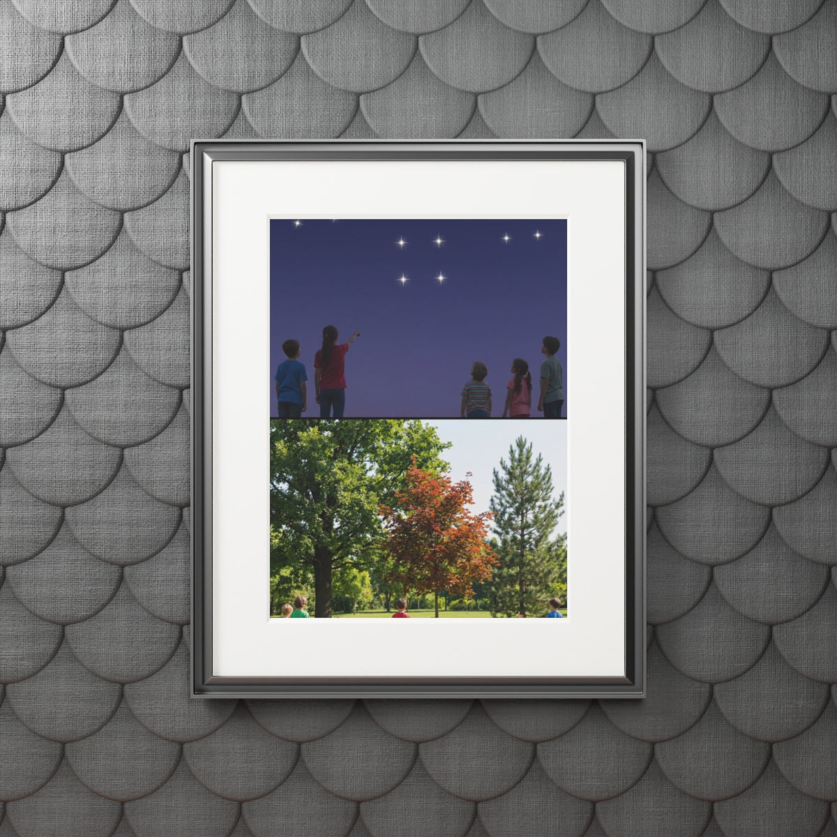 Fine Art Prints - Gallery Stargazer