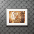 Fine Art Prints - Golden Fractures Shattered Glass Art —......