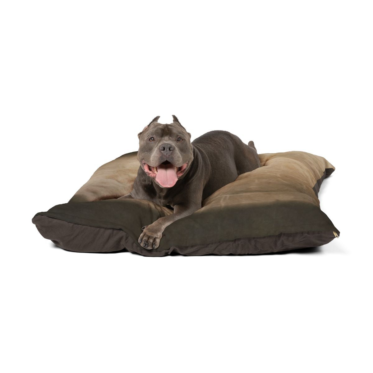 Pet Bed - Shadows of the Citadel moody architectural print |...
