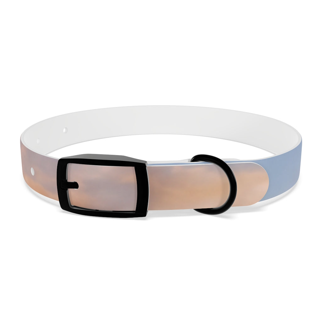 Dog Collar - Trail Companion