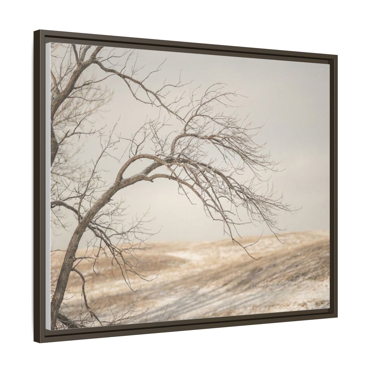 Framed Canvas Art - Minimalist Winter — Espresso / 1.25"