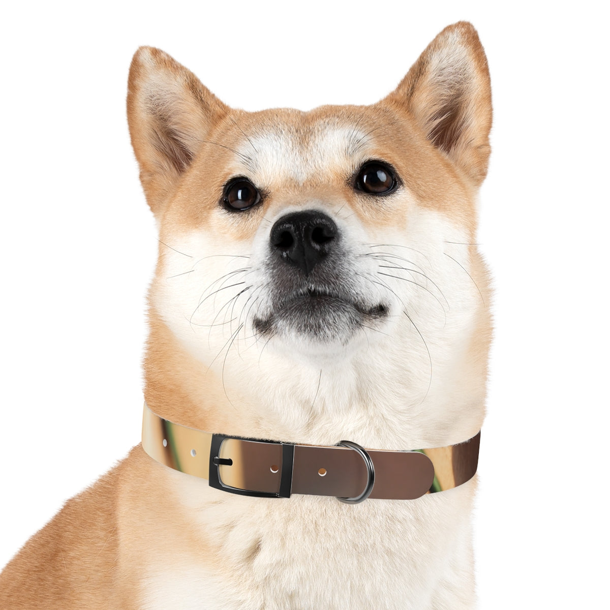 Dog Collar - Golden Hour Glow
