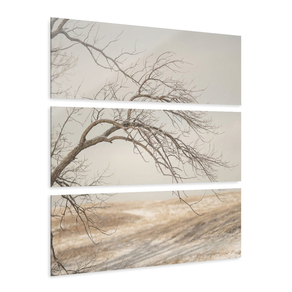 Acrylic Triptych Prints - Quiet Snow — Landscape