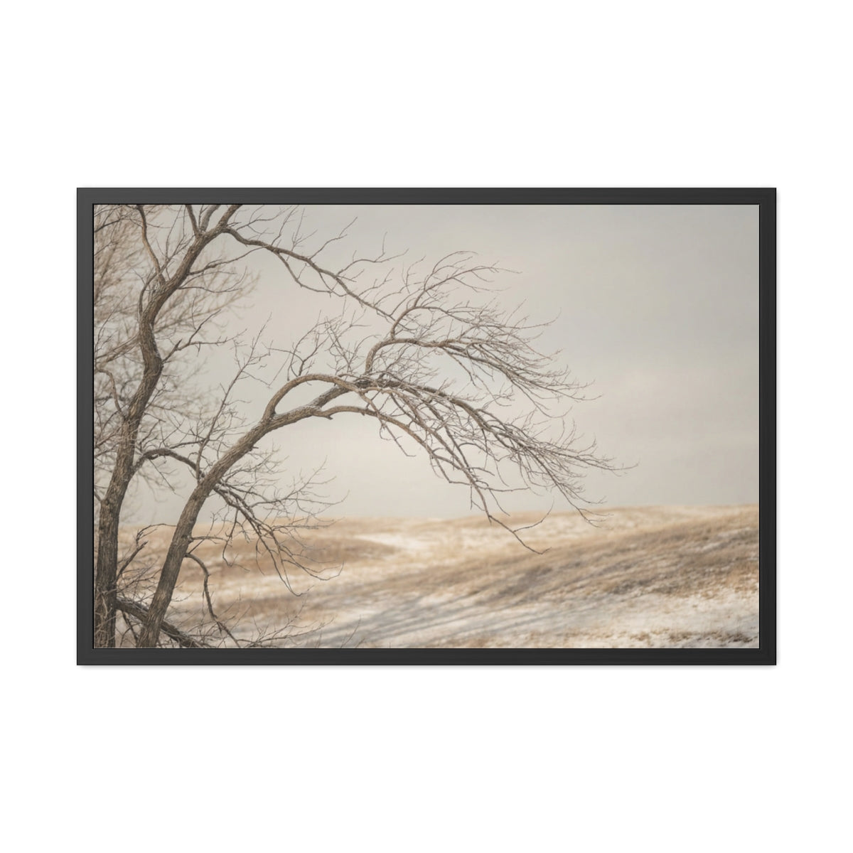 Framed Poster - Minimalist Winter Tree — Landscape