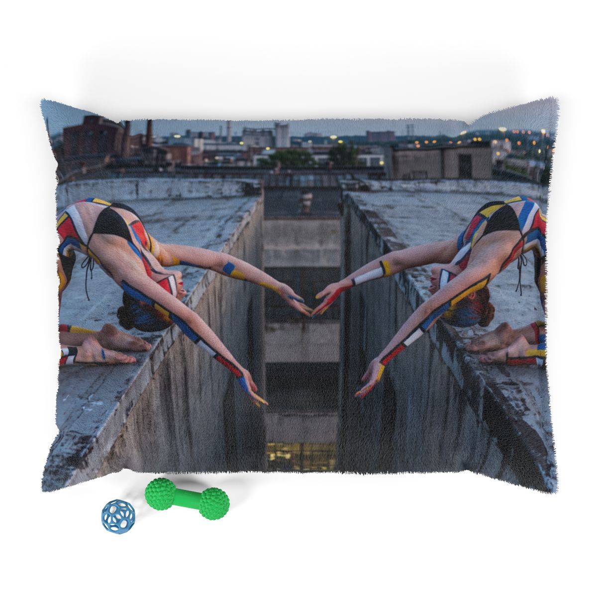 Pet Bed - Modernist Rooftop | Echovira Gallery