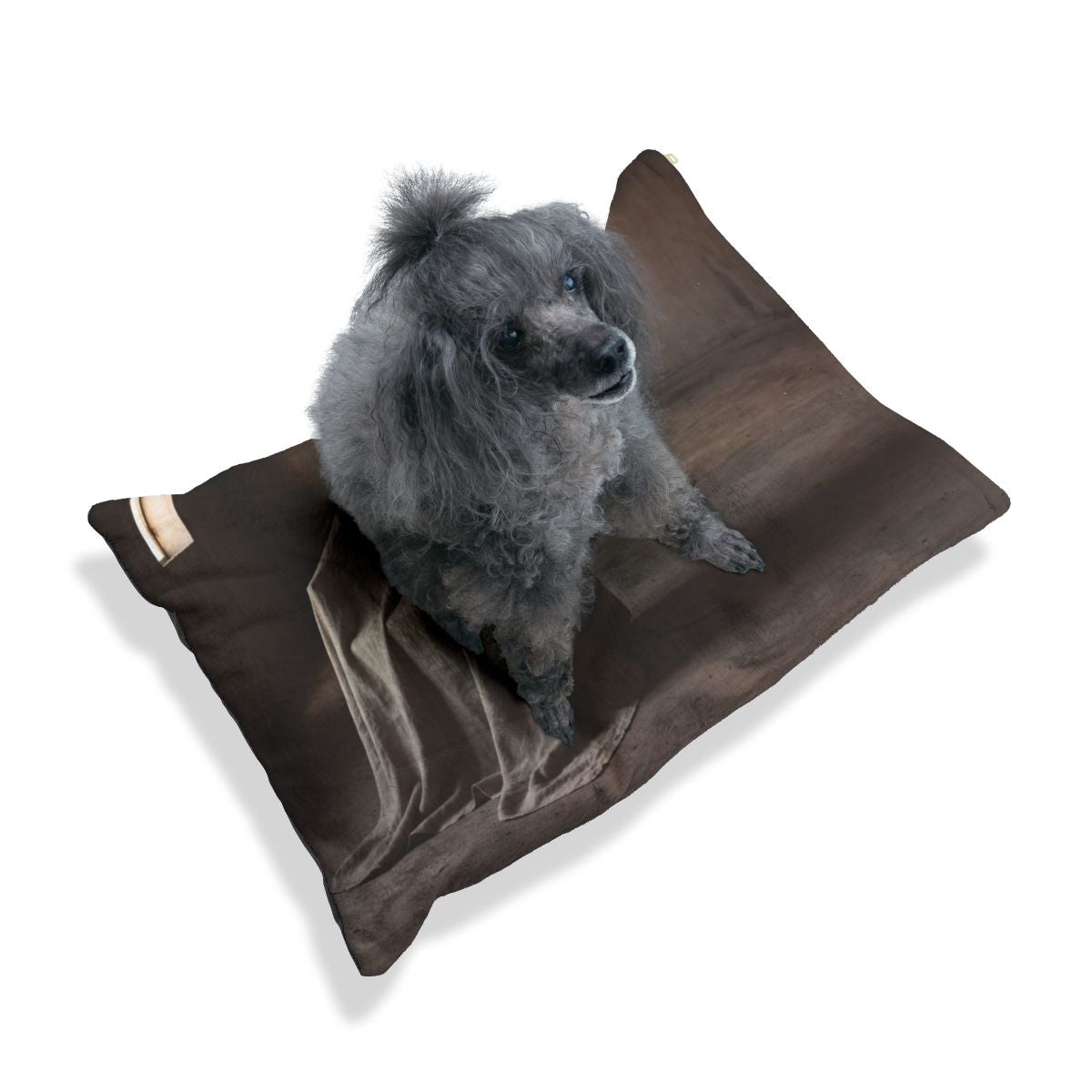 Pet Bed - Brutalist Slumber
