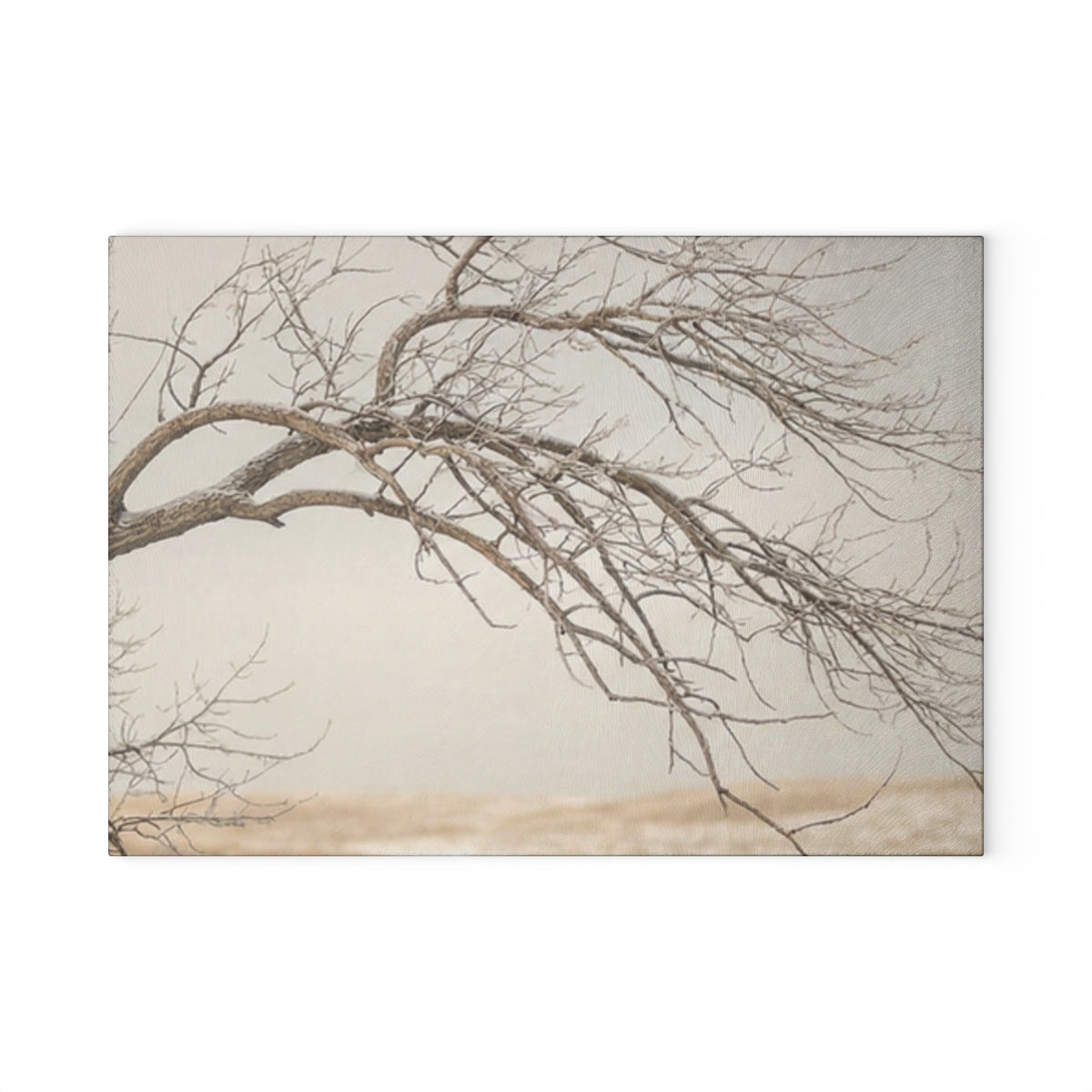 Glass Cutting Board - Hushed Landscape