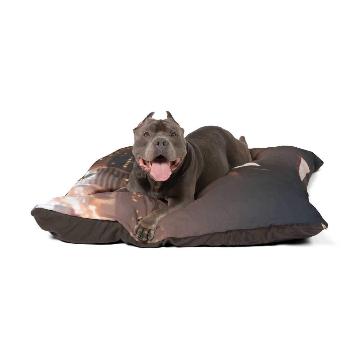 Pet Bed - City Twilight Lounge | Echovira Gallery
