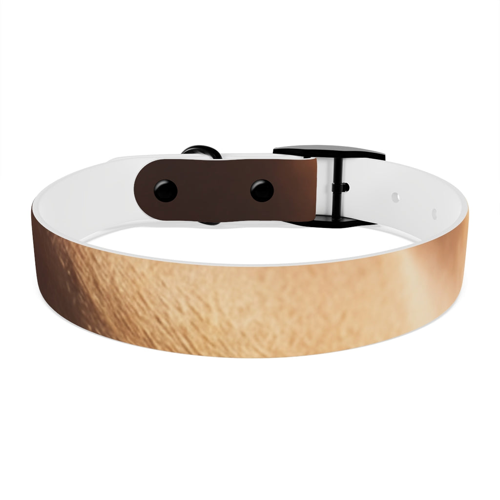 Dog Collar - Golden Hour Glow
