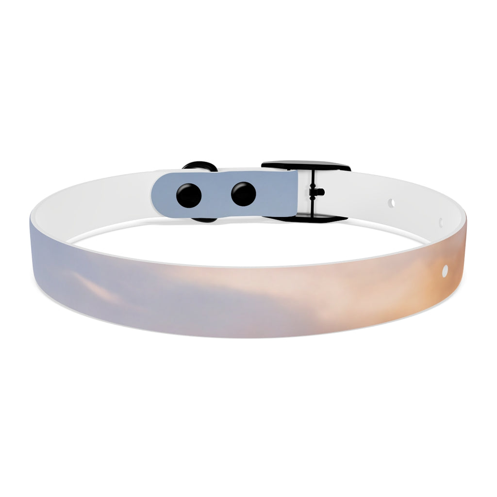 Dog Collar - Trail Companion